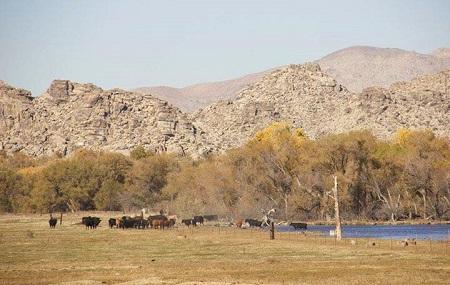 Mojave Narrows Regional Park Image