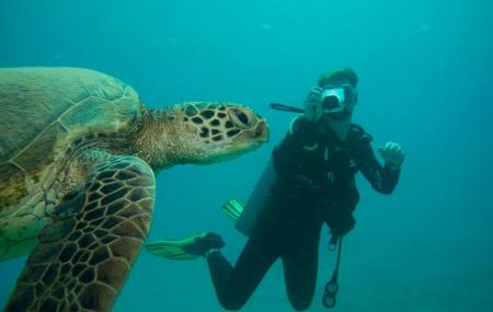 Reef Pirates Diving Llc Image