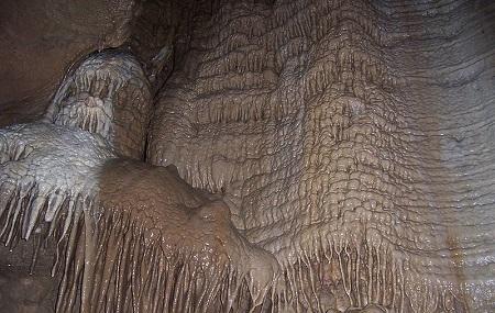 Illinois Caverns State Natural Area Image