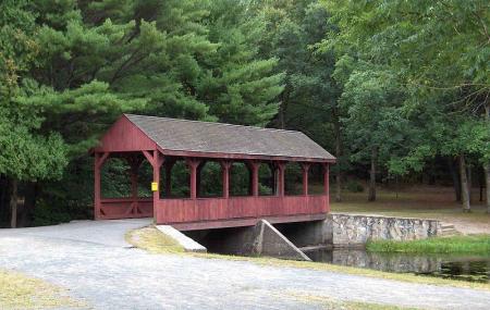 Stratton Brook State Park Image