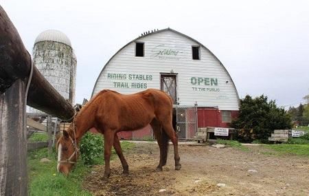 Legends Riding Stables Image