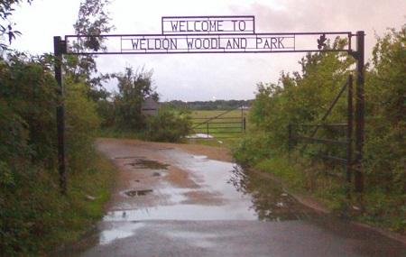 Weldon Woodland Park Image