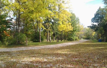 Dalewood Conservation Area Trail Image