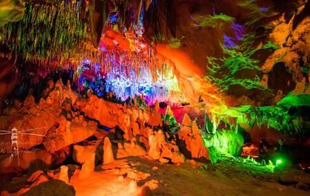 Florida Caverns State Park Image