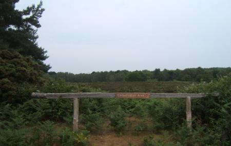 North Warren Rspb Reserve Image