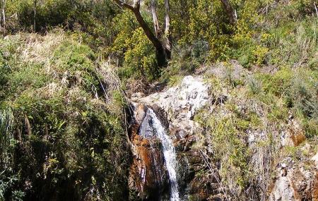 Waterfall Gully Image
