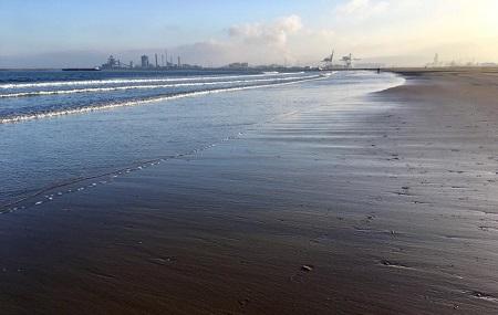 Teesmouth National Nature Reserve Image