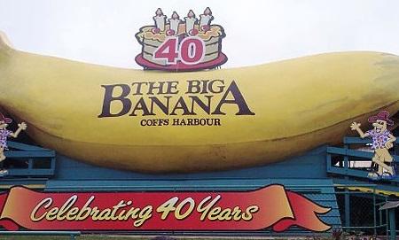 Big Banana Image