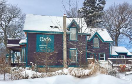 The Purple House Cafe Image