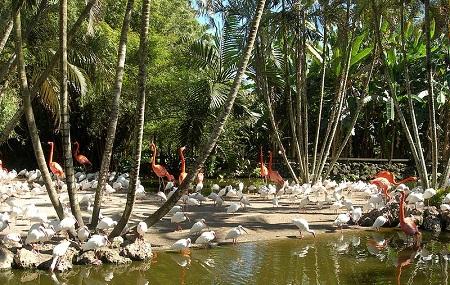 Flamingo Gardens, Davie | Ticket Price | Timings | Address: TripHobo