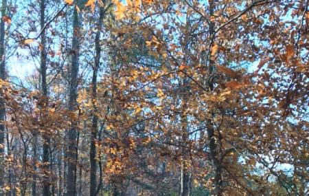 Oconee Forest Park Image