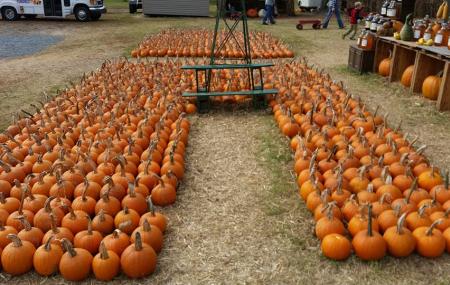 Hawks Pumpkin Patch Image