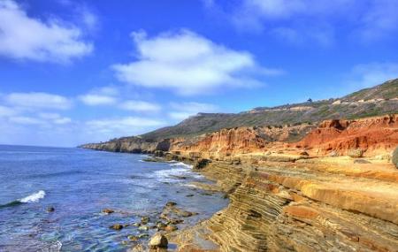Point Loma Tide Pools Image