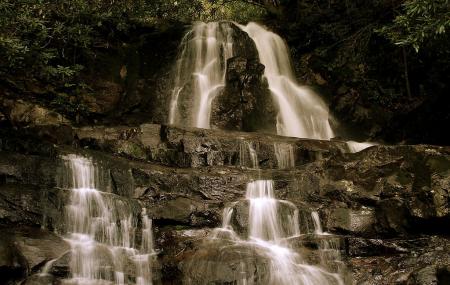 Laurel Falls Trail Image