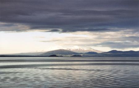 Great Lake Taupo, Nz Image