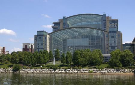 Gaylord National Resort & Employee Image