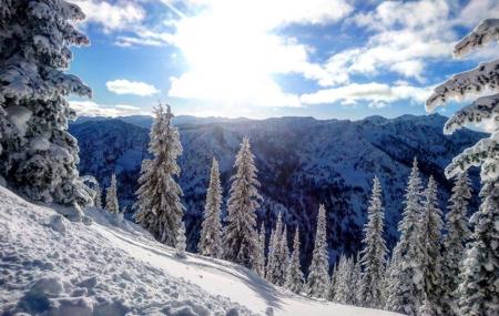 Valhalla Powdercats - Catskiing In British Columbia (bc) Image