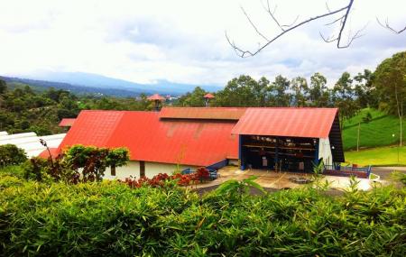 Santa Anita Estate Coffee Image