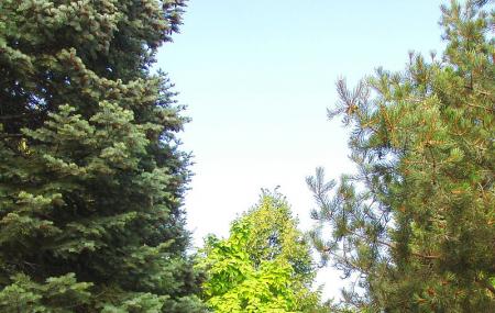 Andrews Arboretum Image