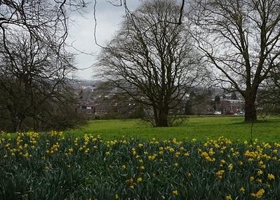 Lawns Park Image
