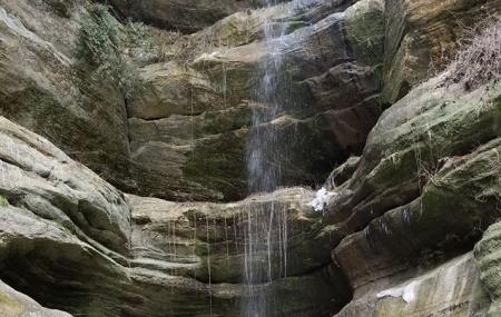 Wildcat Canyon Waterfall Image