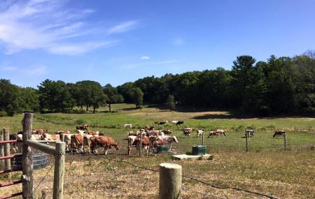 Hornstra Farms Image