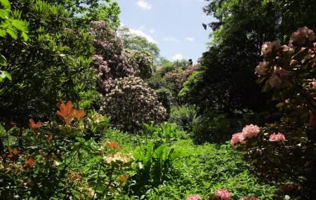 Cecil & Molly Smith Garden Image