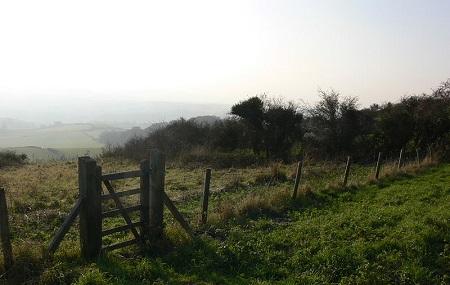 Brading Down Local Nature Reserve Image