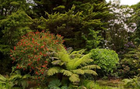 Rapaura Watergardens Image