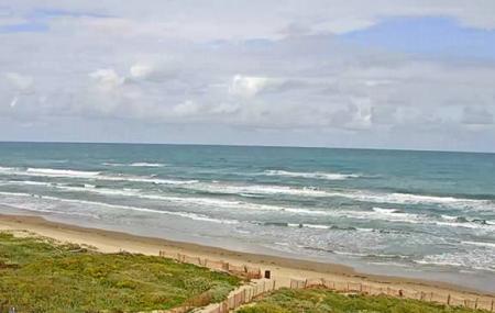 Hilton Garden Inn South Padre Island Image