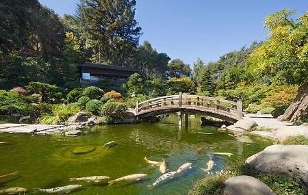 Hakone Gardens Image