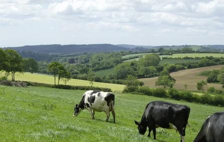 Blackdown Hills Aonb Image