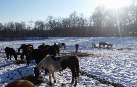 Sheeder Mill Farm Image