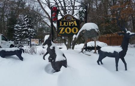 Lupa Zoo Image