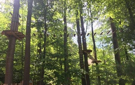 Go Ape Zip Line And Treetop Adventure Jefferson Memorial Forest Louisville Ticket Price Timings Address Triphobo