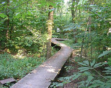 Beargrass Creek State Nature Preserve Image