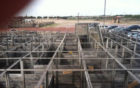 Cowtown Cattlepen Maze Inc Image