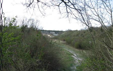 Cherry Hinton Chalk Pits Image
