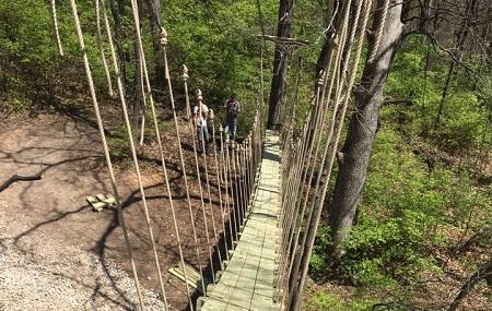Grafton Zipline Adventures Image