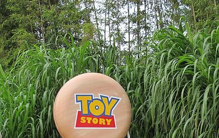 Toy Story Playland Image