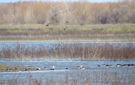 Upper Butte Basin Wildlife Area Image
