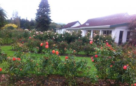Rose Garden Taupo Ticket Price Timings Address Triphobo Rose Garden Taupo Ticket Price Timings Address Triphobo