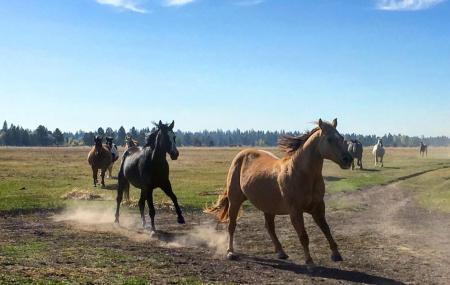 Sunriver Stables Image