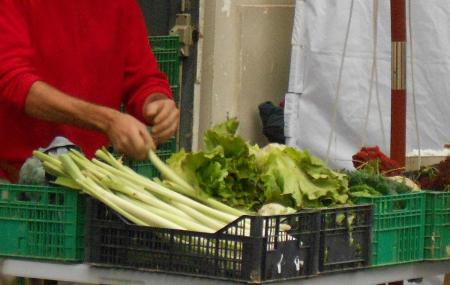 Mercado Agroecologico Image