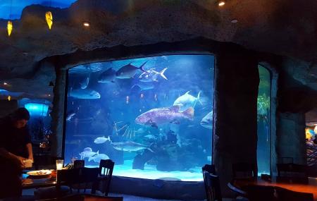 Aquarium Restaurant Image