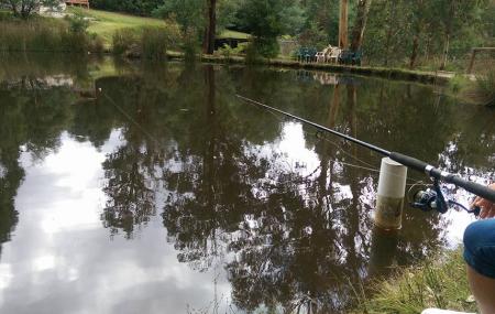 Marysville Trout And Salmon Ponds Image