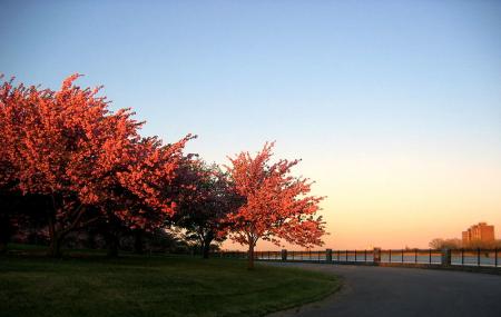 Druid Hill Park Image