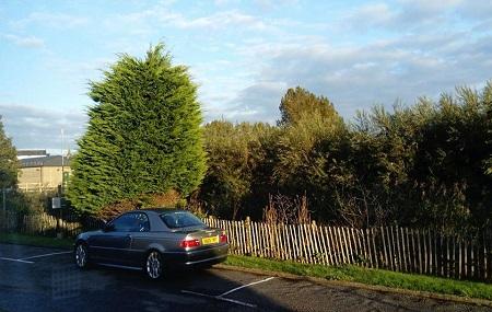 Saltern Caravan Park Image