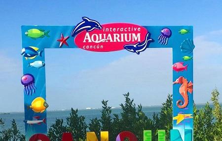 Interactive Aquarium Cancun Image
