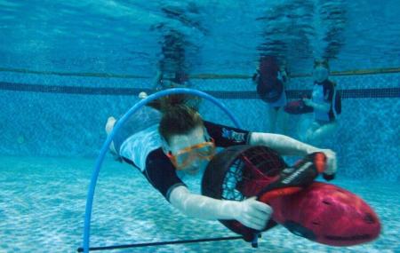Oasis Fun Pools Image